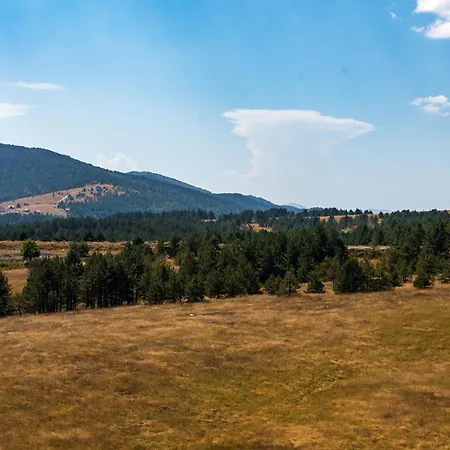 Apartmán Milosavljevic Zlatibor