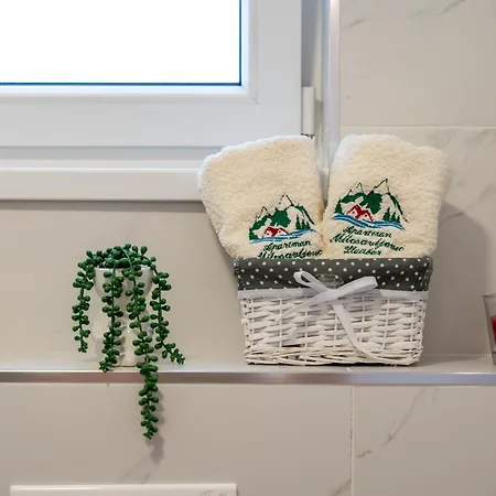 Apartmán Milosavljevic *