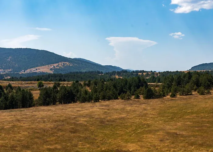 Apartman Milosavljevic Zlatibor