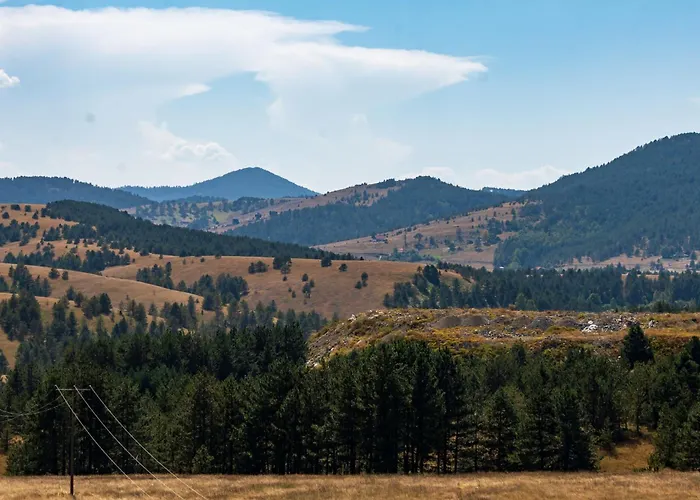 Milosavljevic Apartman Zlatibor